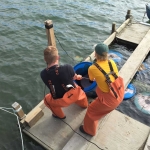 Conscience Point Shellfish Hatchery - Education